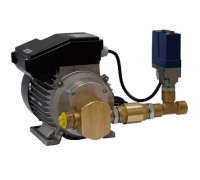 
                                Насос перекачки масла Gespasa EAS 88 (0.74 кВт)